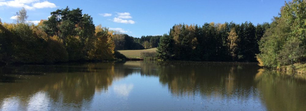 Měnič obrázků - fotografie